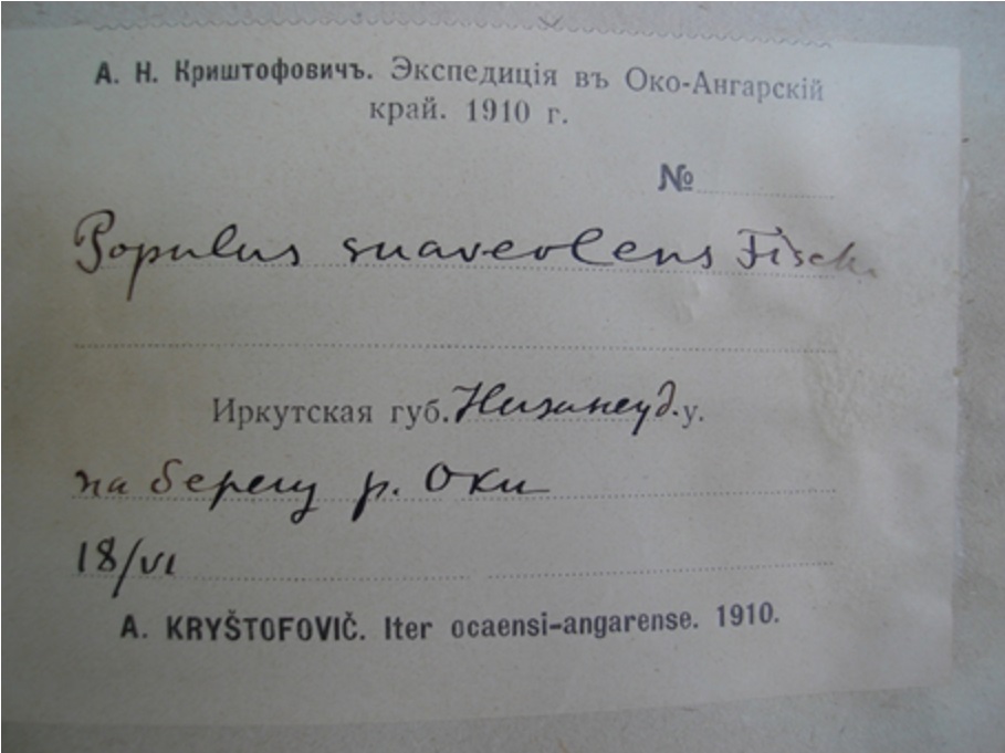 Етикетка А. М. Криштофовича