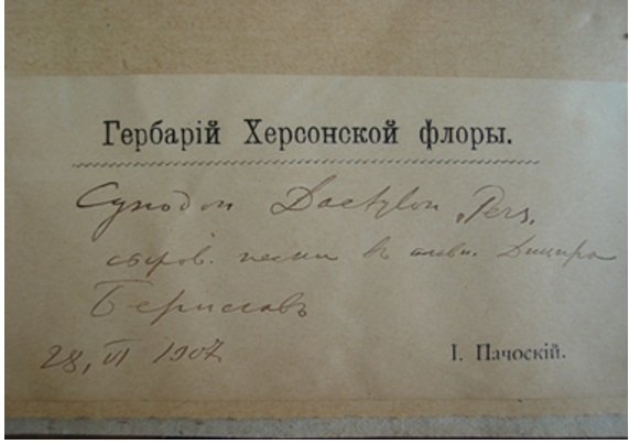 Етикетка Й. К. Пачоського