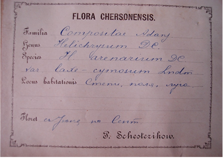 Матеріали П. С. Шестерікова (флора)