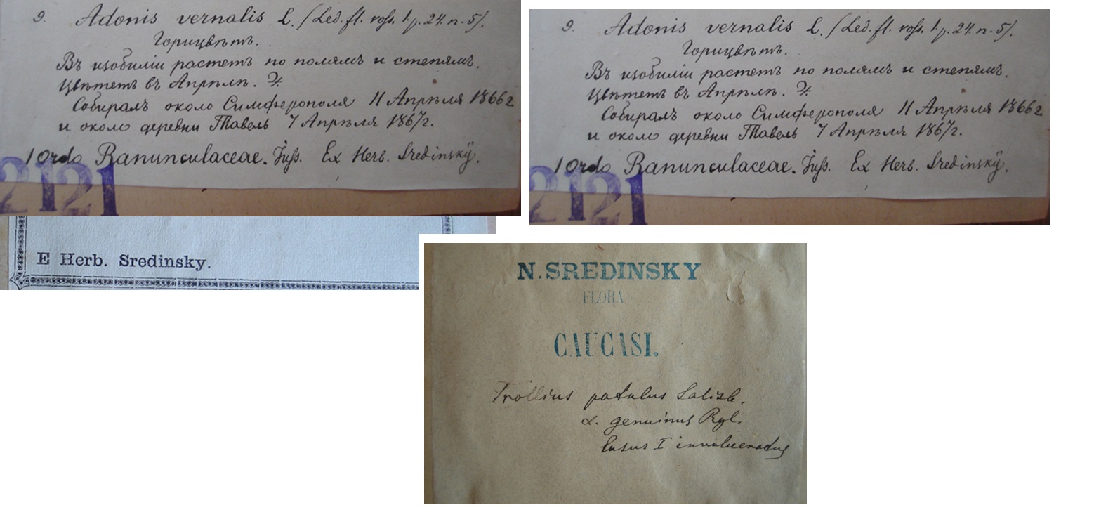 Етикетки М. К. Срединського